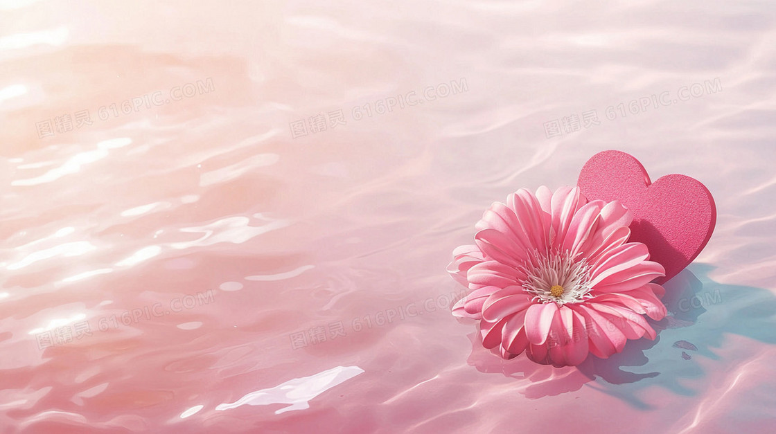 漂浮水面粉色菊花简约背景