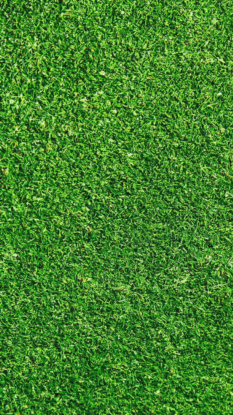 绿草地手机背景图图片