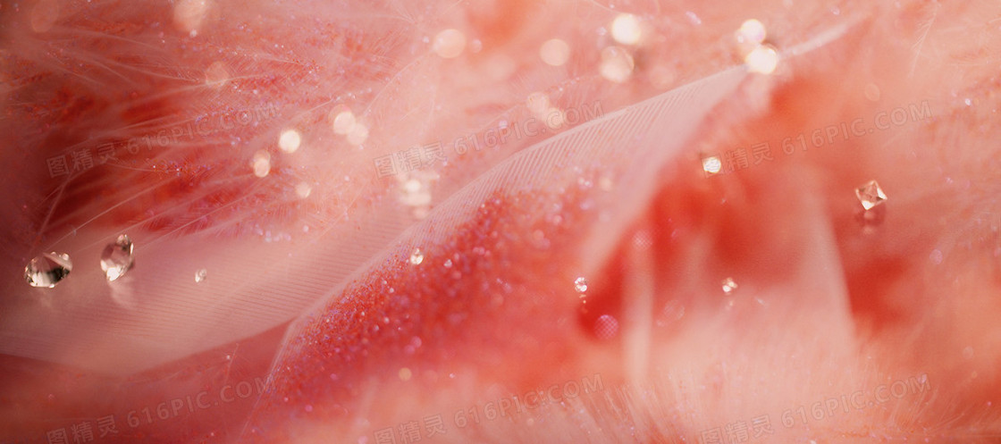 婚纱照后期处理唯美羽毛水晶背景banner