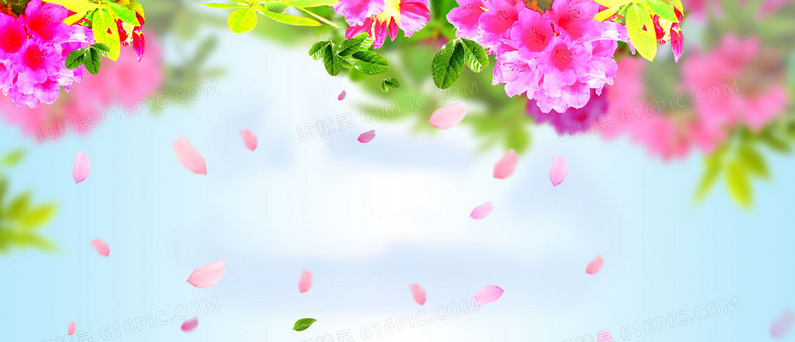 淘宝春天唯美花瓣背景banner