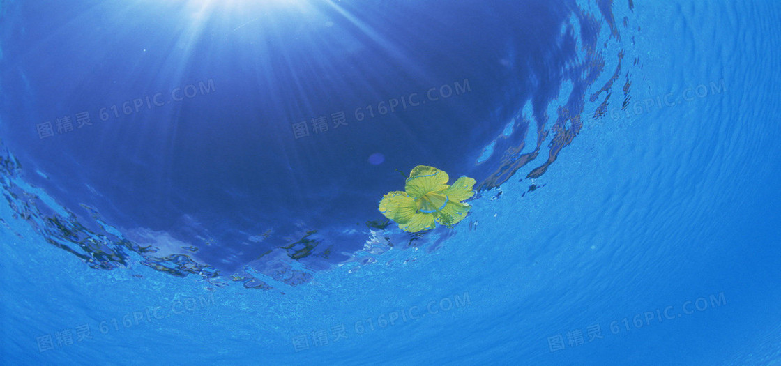 淘宝背景图