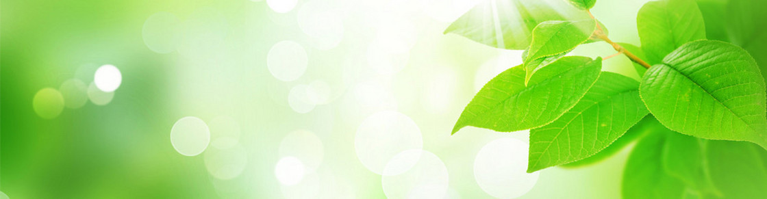 清新背景banner