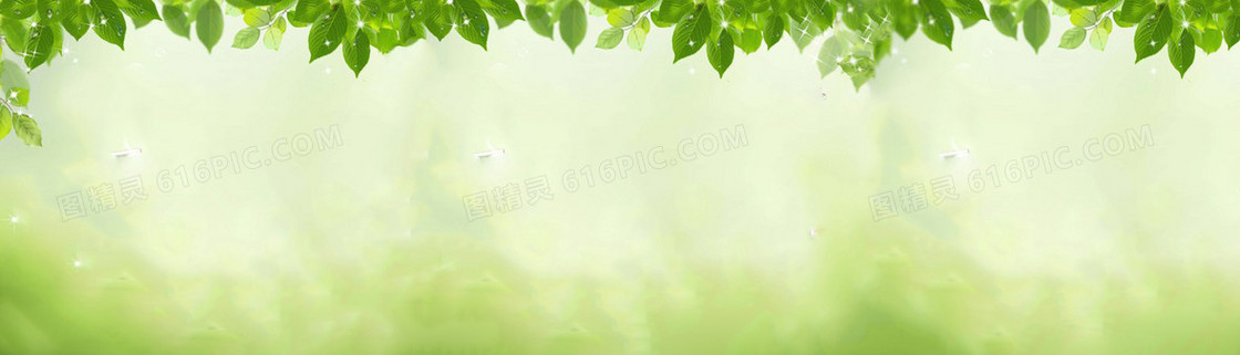 绿色清新背景