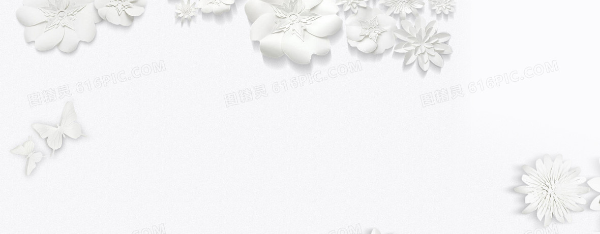 白色花背景图片下载 免费高清白色花背景设计素材 图精灵