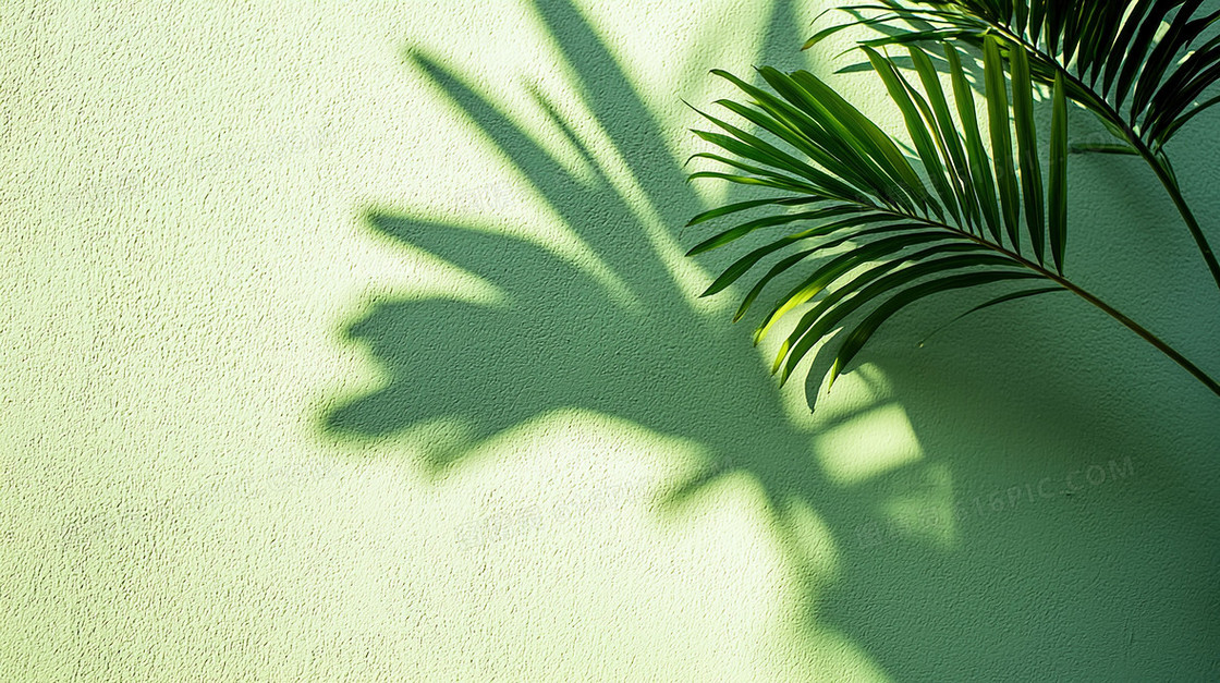 淡雅植物树叶清新背景