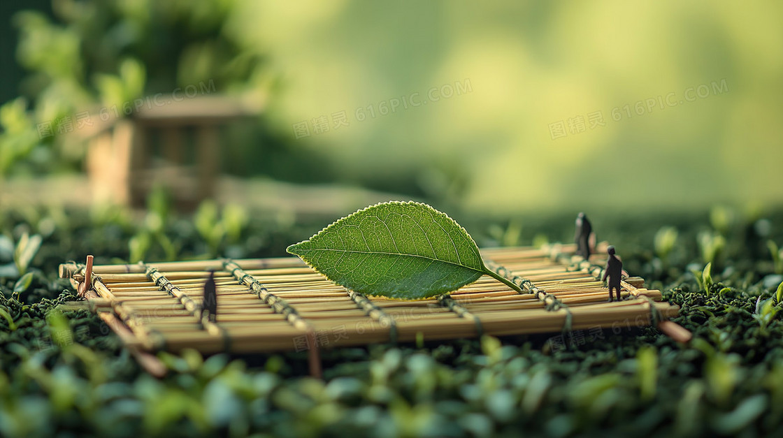 茶田晾晒春茶茶叶微景观背景