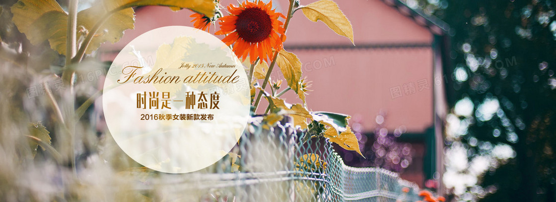淘宝女装banner背景