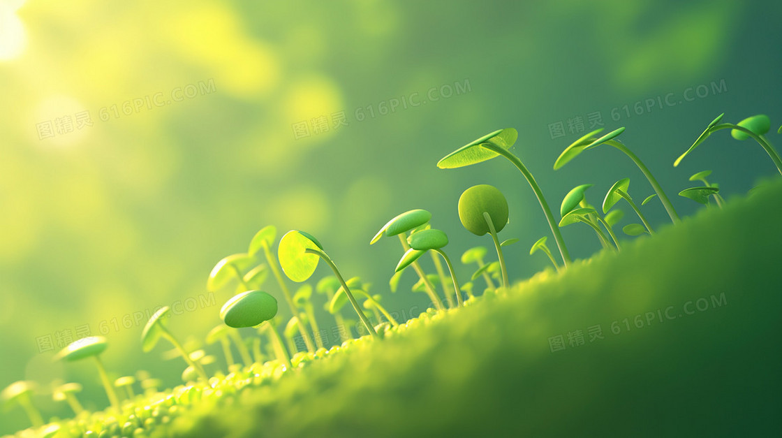 惊蛰植物发芽萌发背景