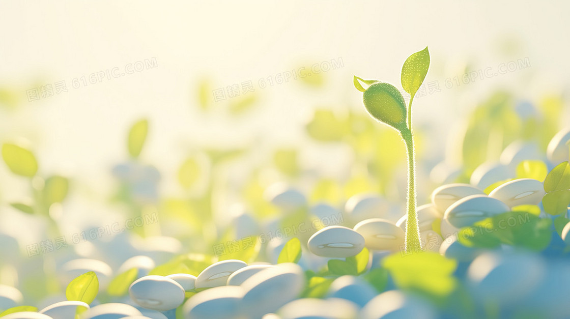 惊蛰植物发芽萌发背景