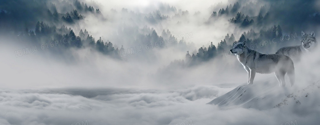 雪山背景