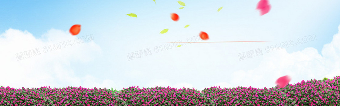 淘宝 店招 banner 背景