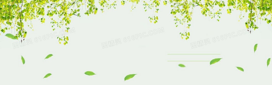 绿色树叶花藤背景