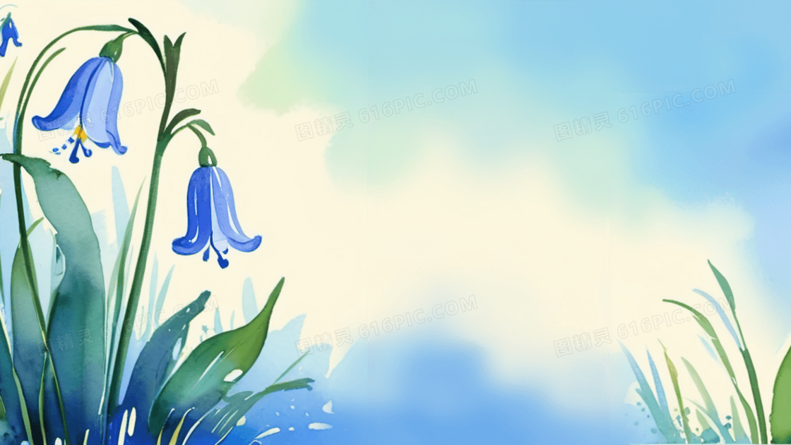 兰草插画蓝色背景