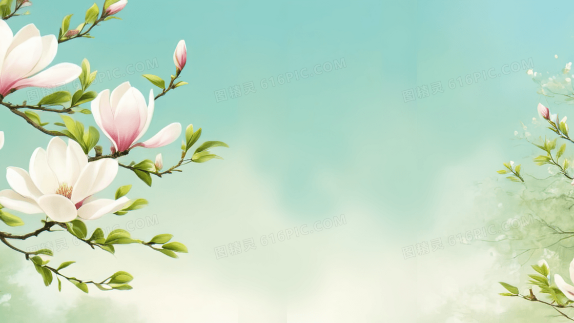 玉兰花插画绿色背景