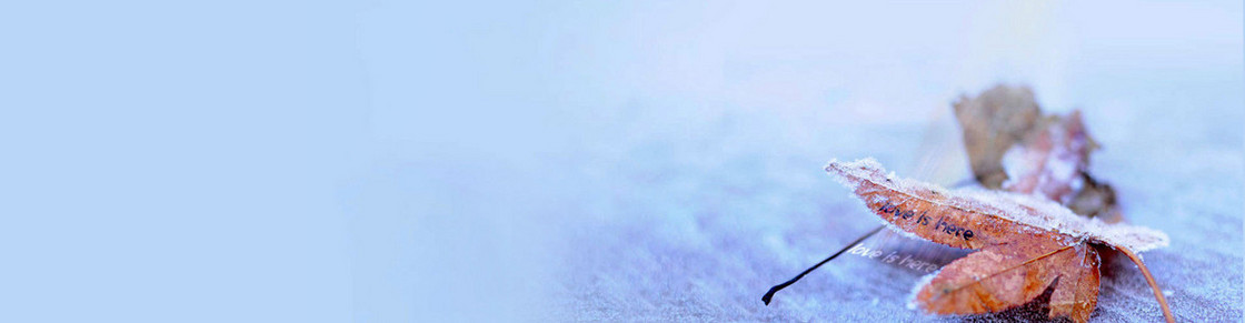 清新背景banner