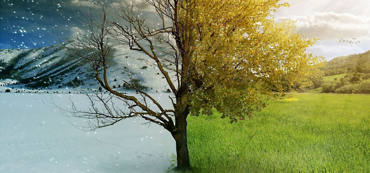 一半冬天一半春天