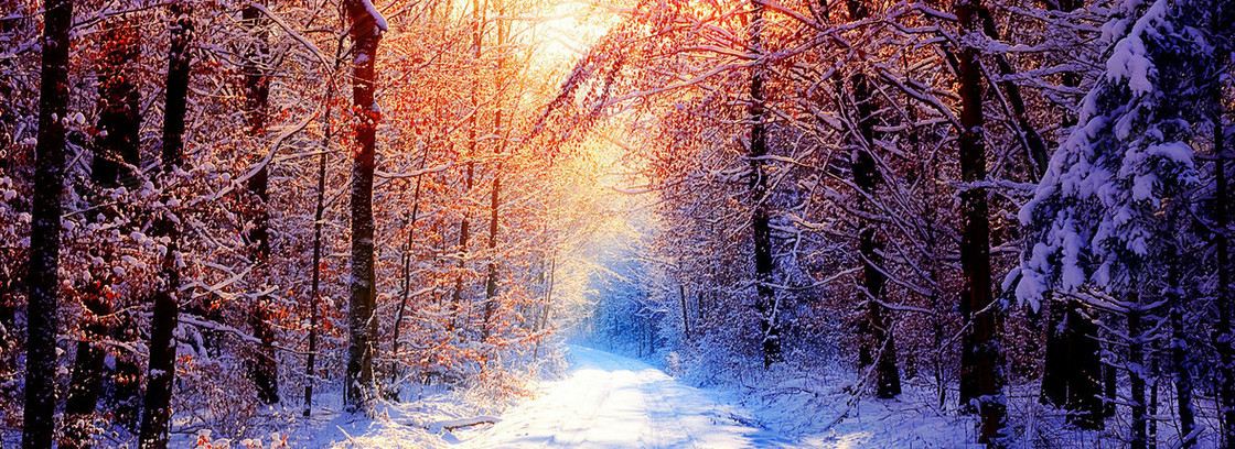 雪背景