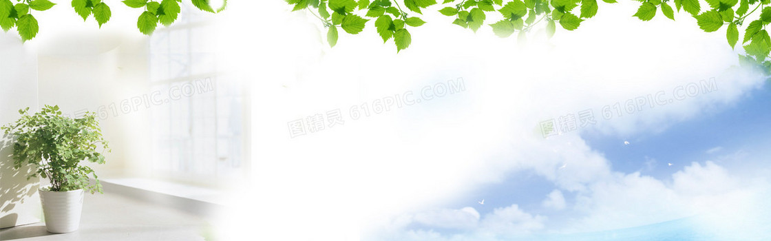 淘宝女装背景