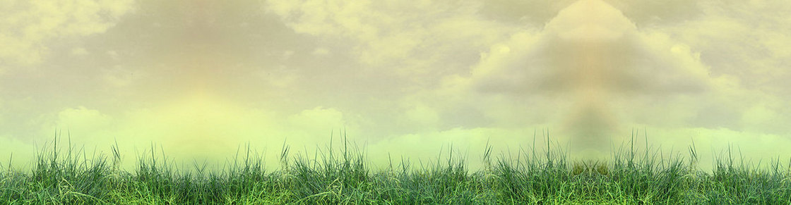 爱茉莉banner
