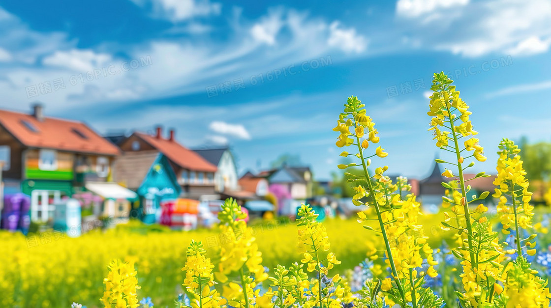 唯美清新春天油菜花田插画