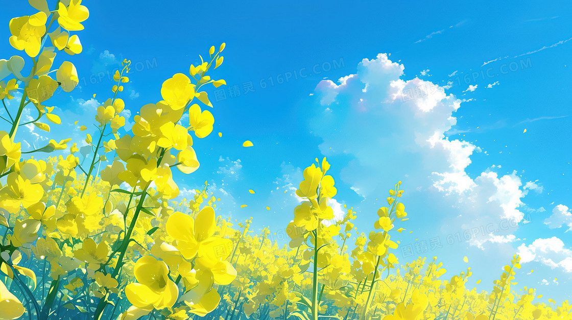 唯美清新春天油菜花田插画