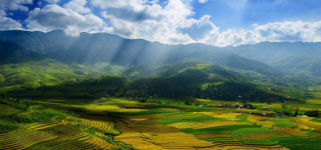 阳光普照的自然背景