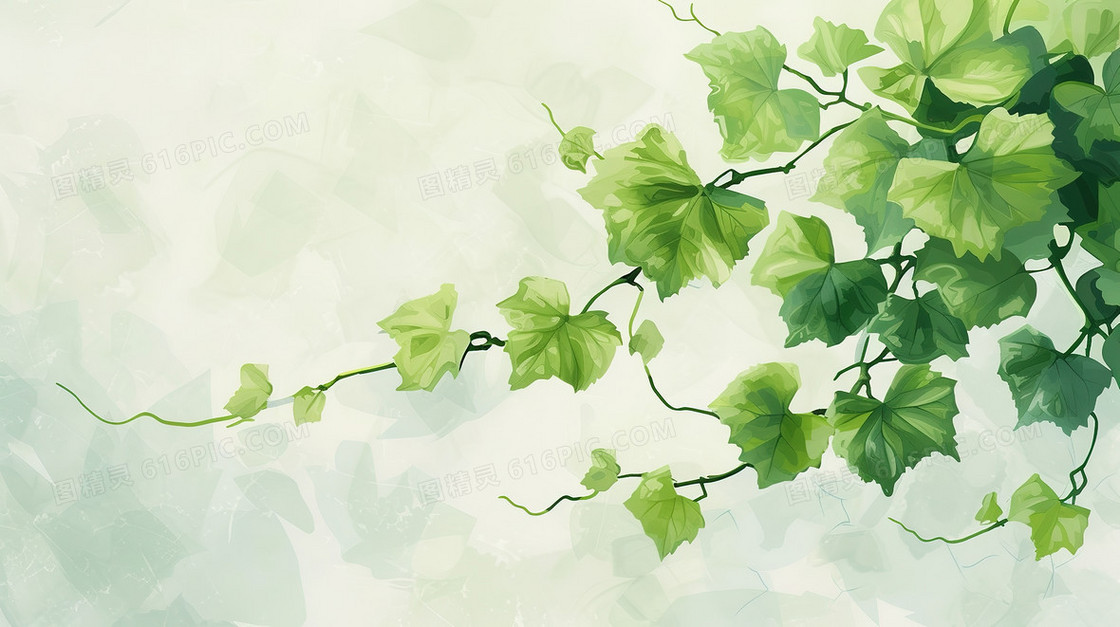 墙壁上的藤曼植物插画