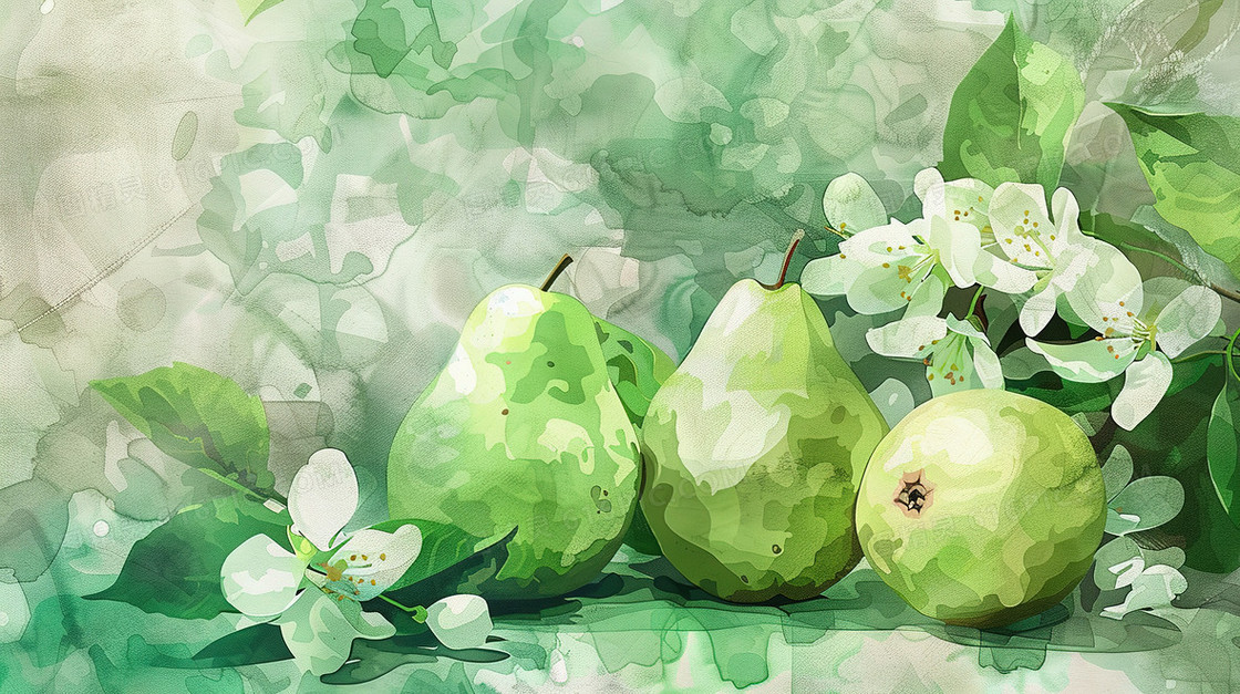 成熟的梨子和白色的梨花插画