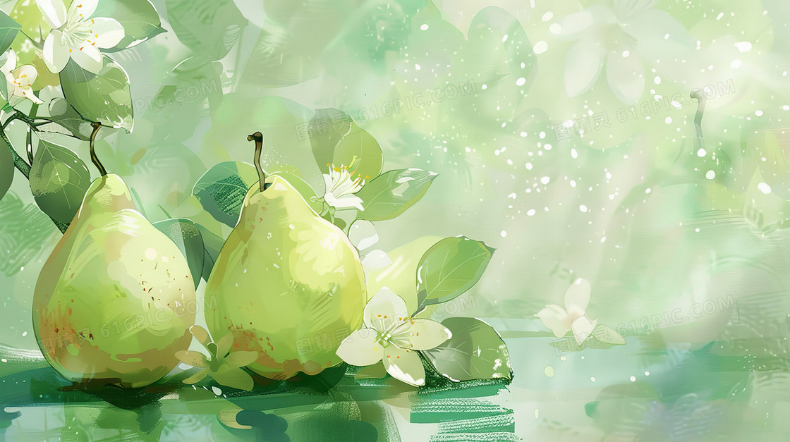 成熟的梨子和白色的梨花插画
