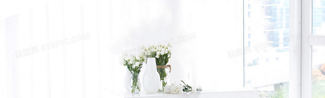 白色植物春日房间背景