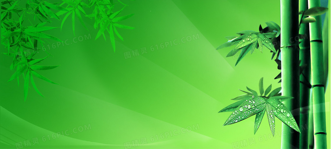绿色背景