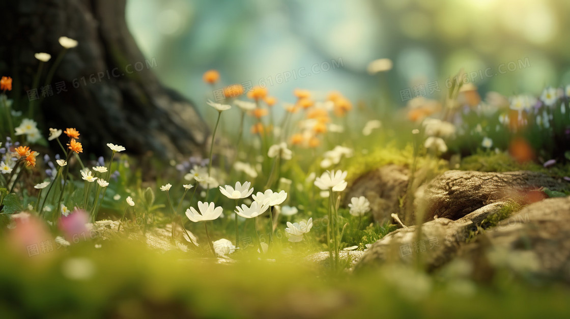 春天唯美风景花朵草地景色插画