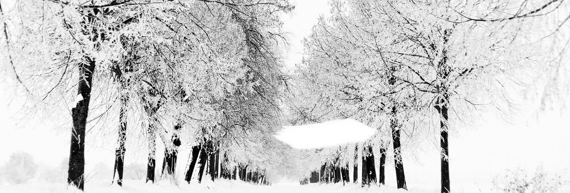 街道树林雪景