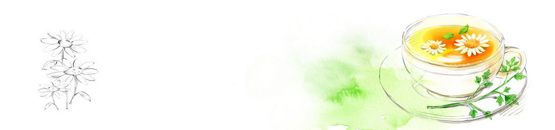 花茶手绘清新背景banner