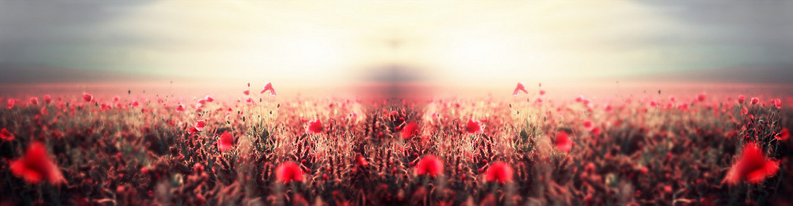 婚纱背景banner