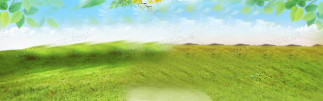 休闲食品清新草坪背景banner