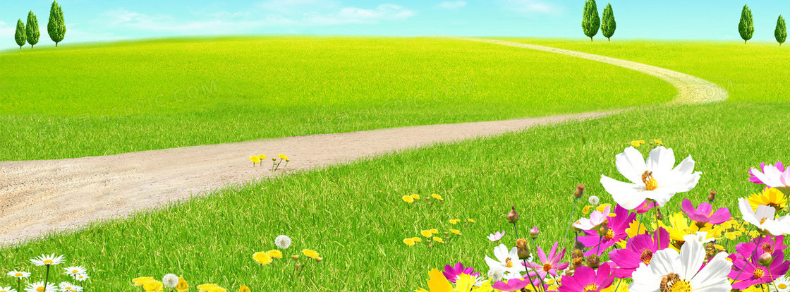 草丛唯美背景banner