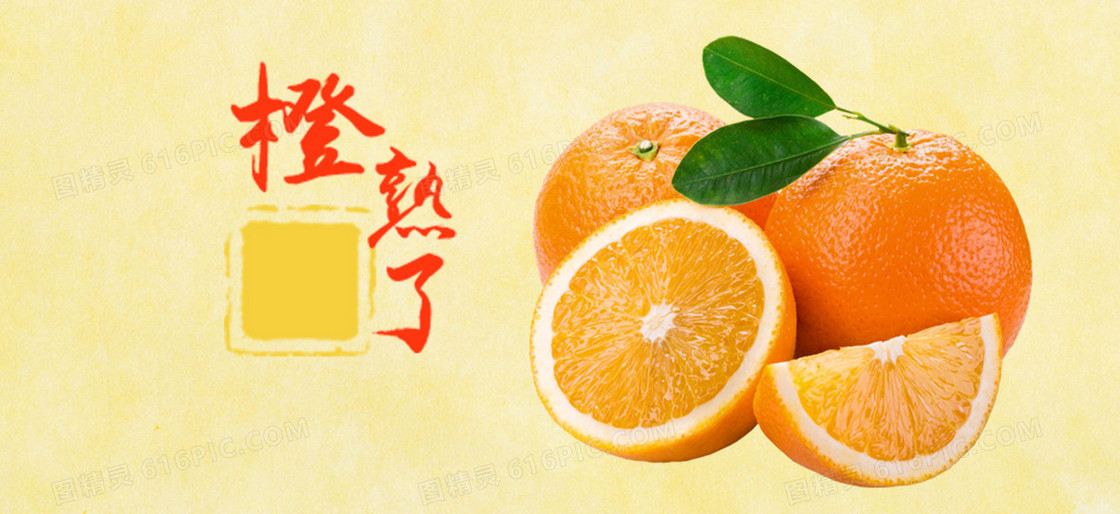 橙子成熟了纹理banner