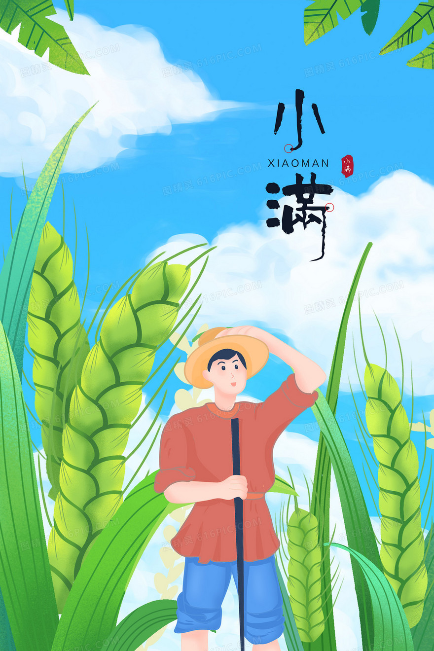 小满节气农民农忙麦穗麦苗插画