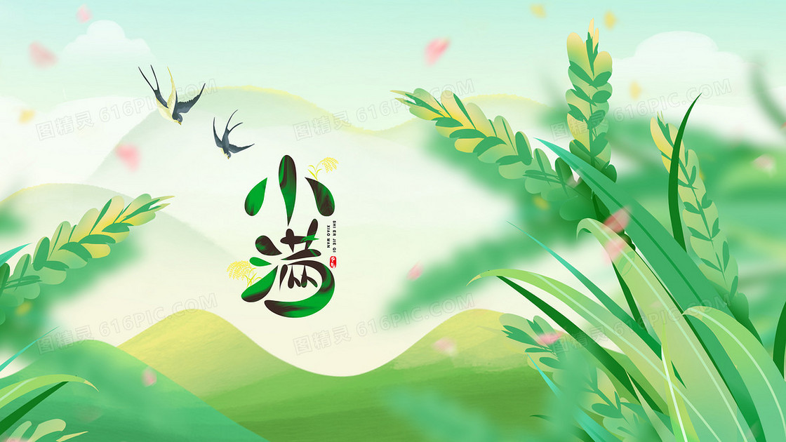 绿色小满节气麦穗麦苗插画