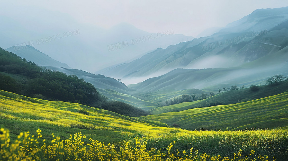 唯美山坡上田野花海风景插画