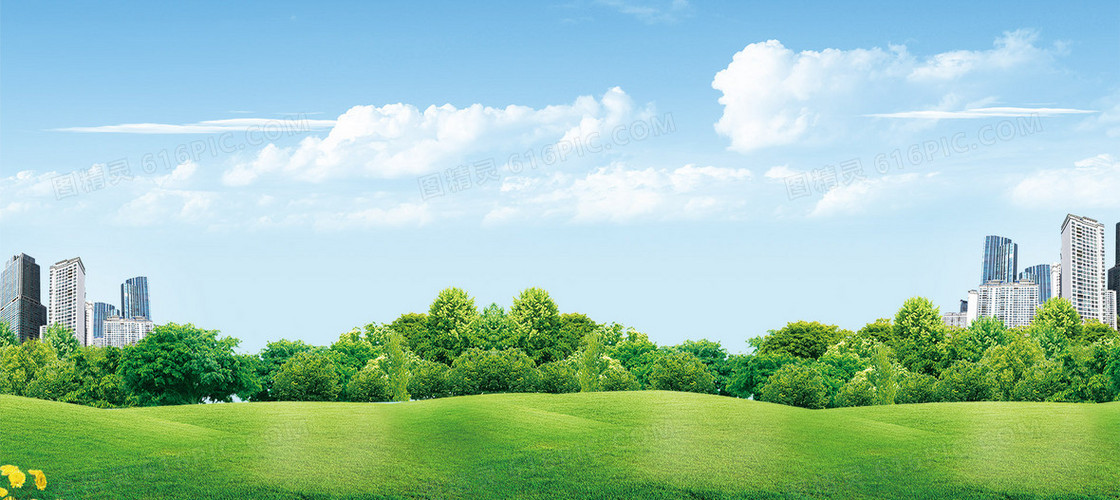 草坪草地背景