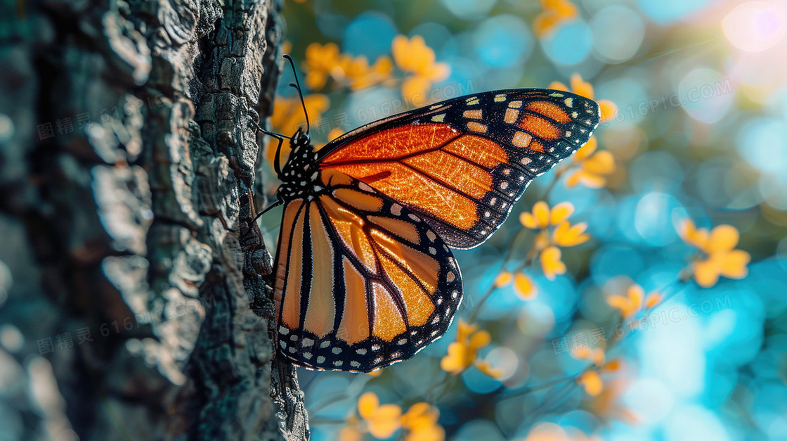 唯美意境山林飞舞的蝴蝶插画