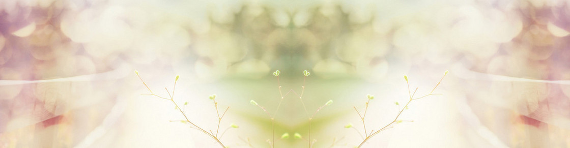 简约背景banner