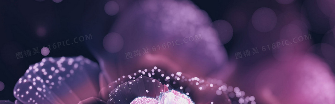 梦幻紫色背景