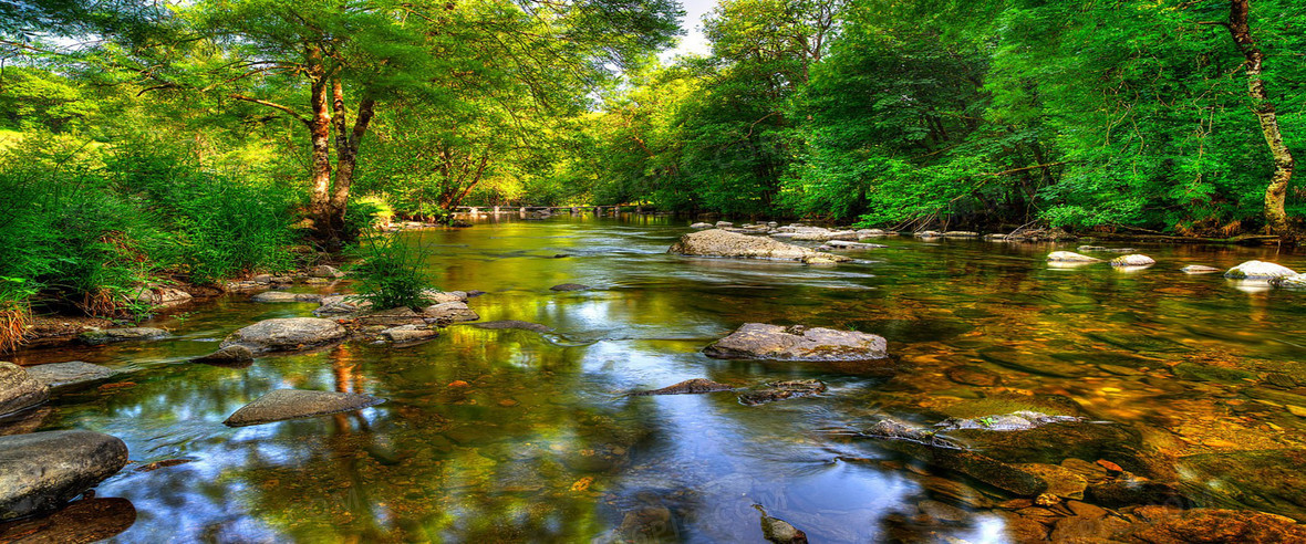 绿色足球场清新背景banner背景图片下载_1920x587像素jpg格式_编号1yg