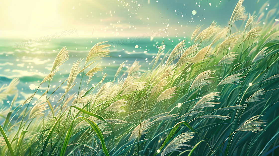 岸边的一片芦苇丛插画