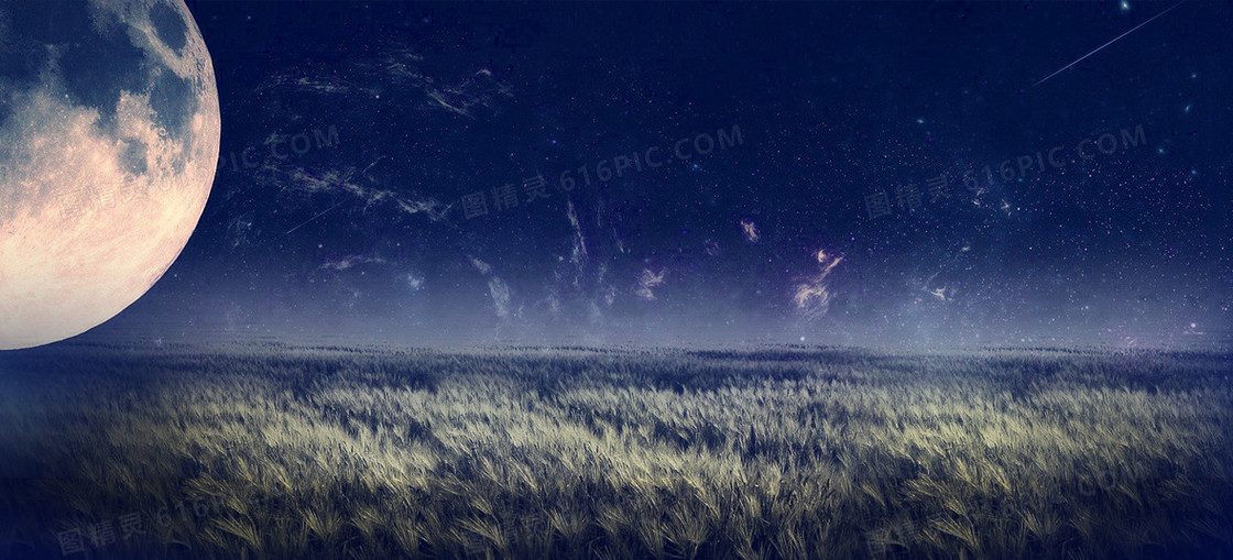 浪漫情人节美丽星空花朵背景banner