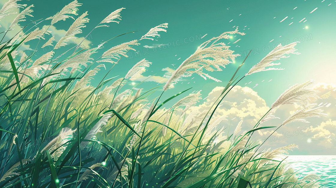 岸边的一片芦苇丛插画