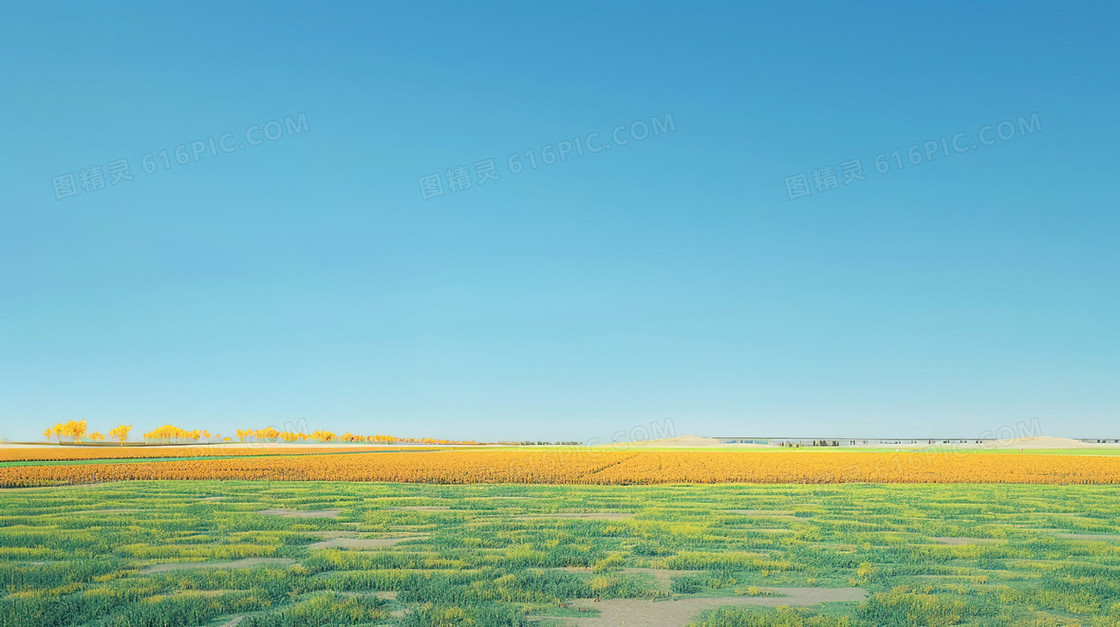 一望无际的田野风景插画